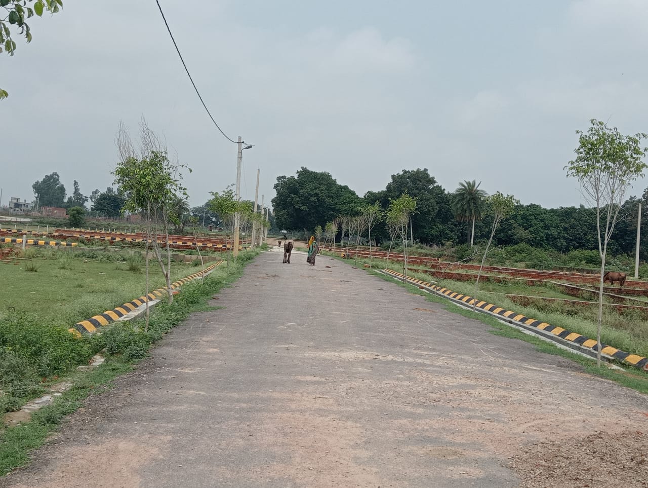 Plots for Sale in Raibareli Road, Lucknow: Discover Imperial City by Mahadev Group Lucknow Mohanlalganj