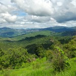 100 Nali Land for Sale in Silakhet (Ranikhet) : Himalaya View