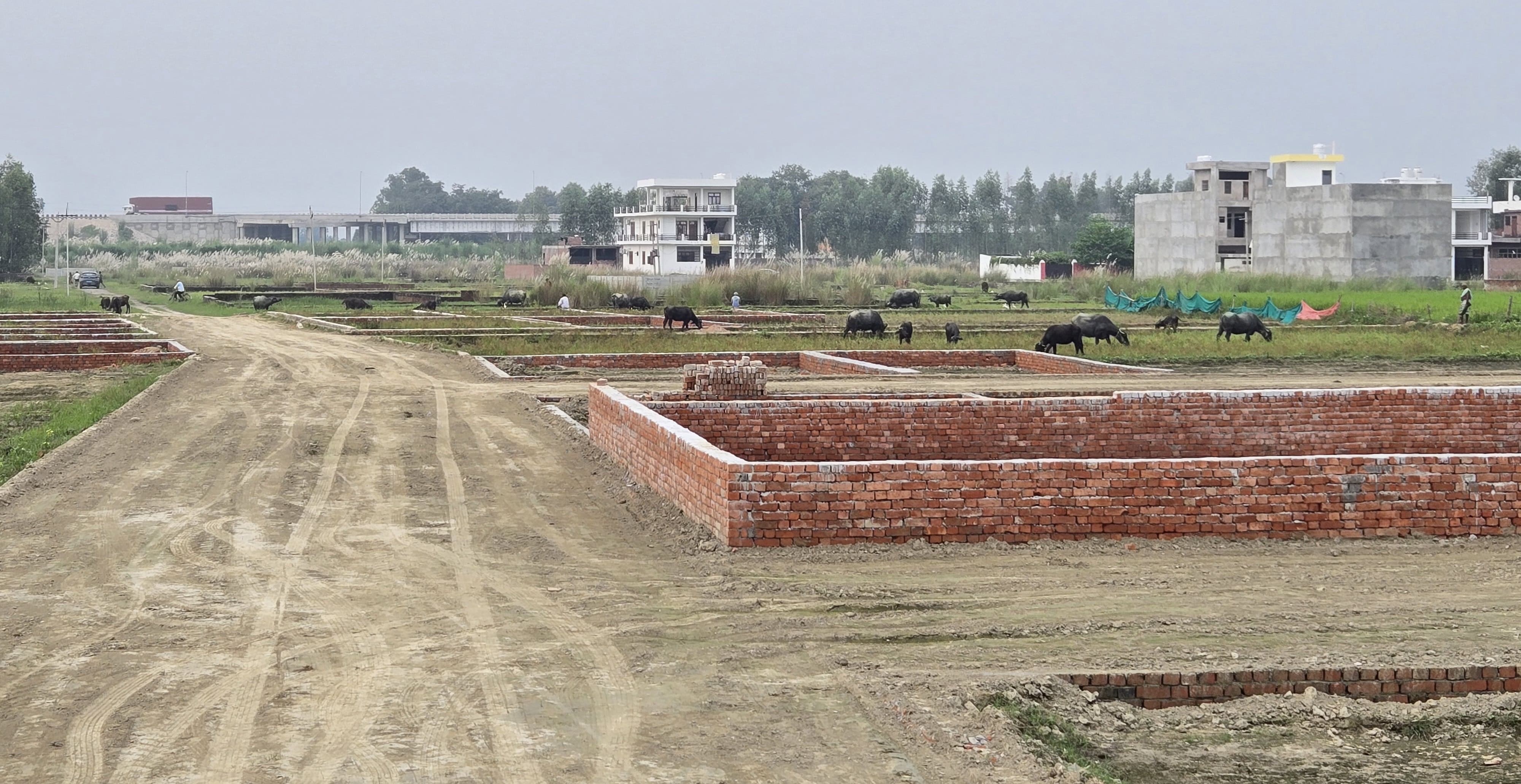 Exclusive Plots for Sale Near Sultanpur Road, Lucknow – Prime Location!