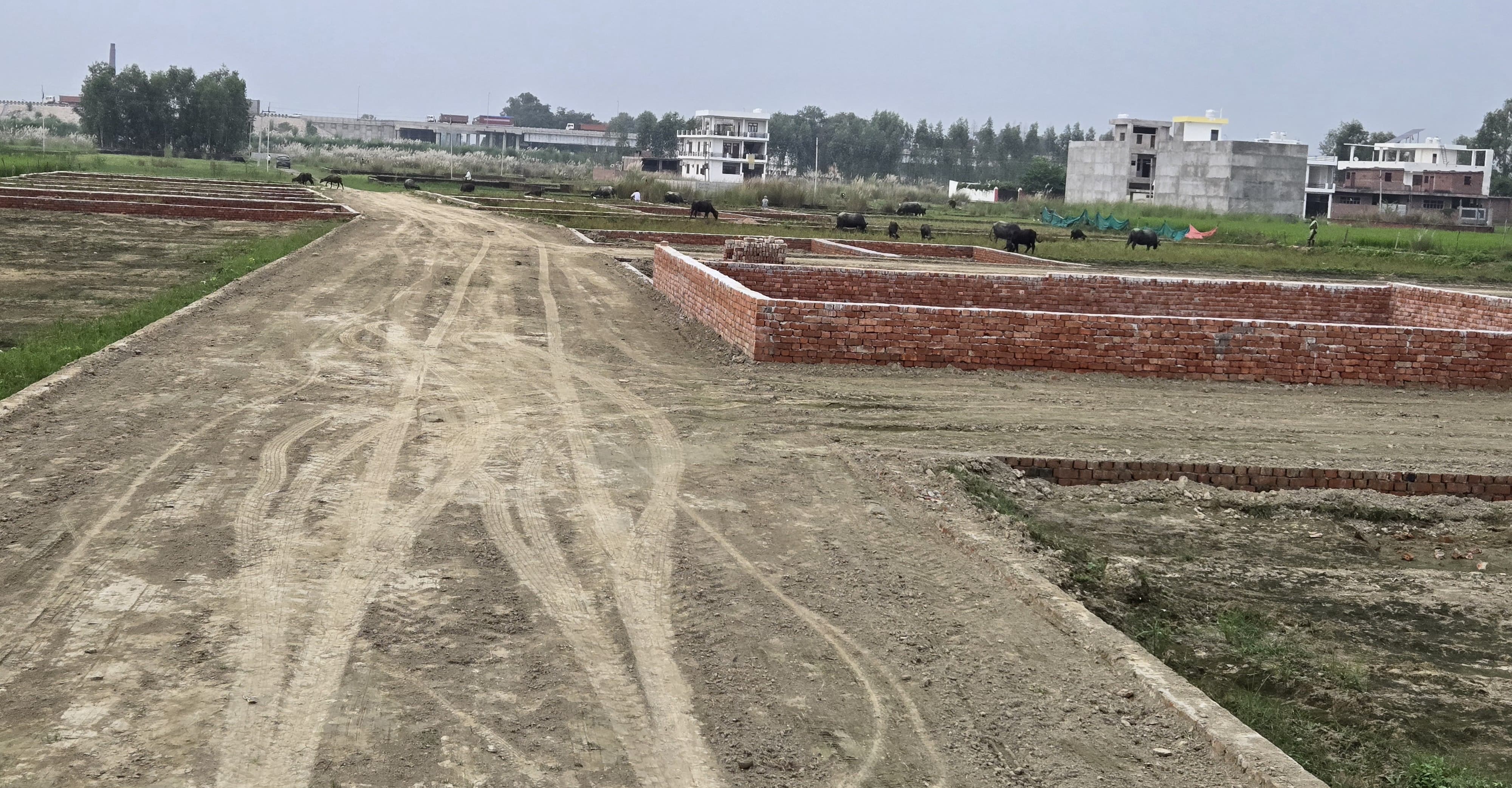 Exclusive Plots for Sale Near Sultanpur Road, Lucknow – Prime Location!