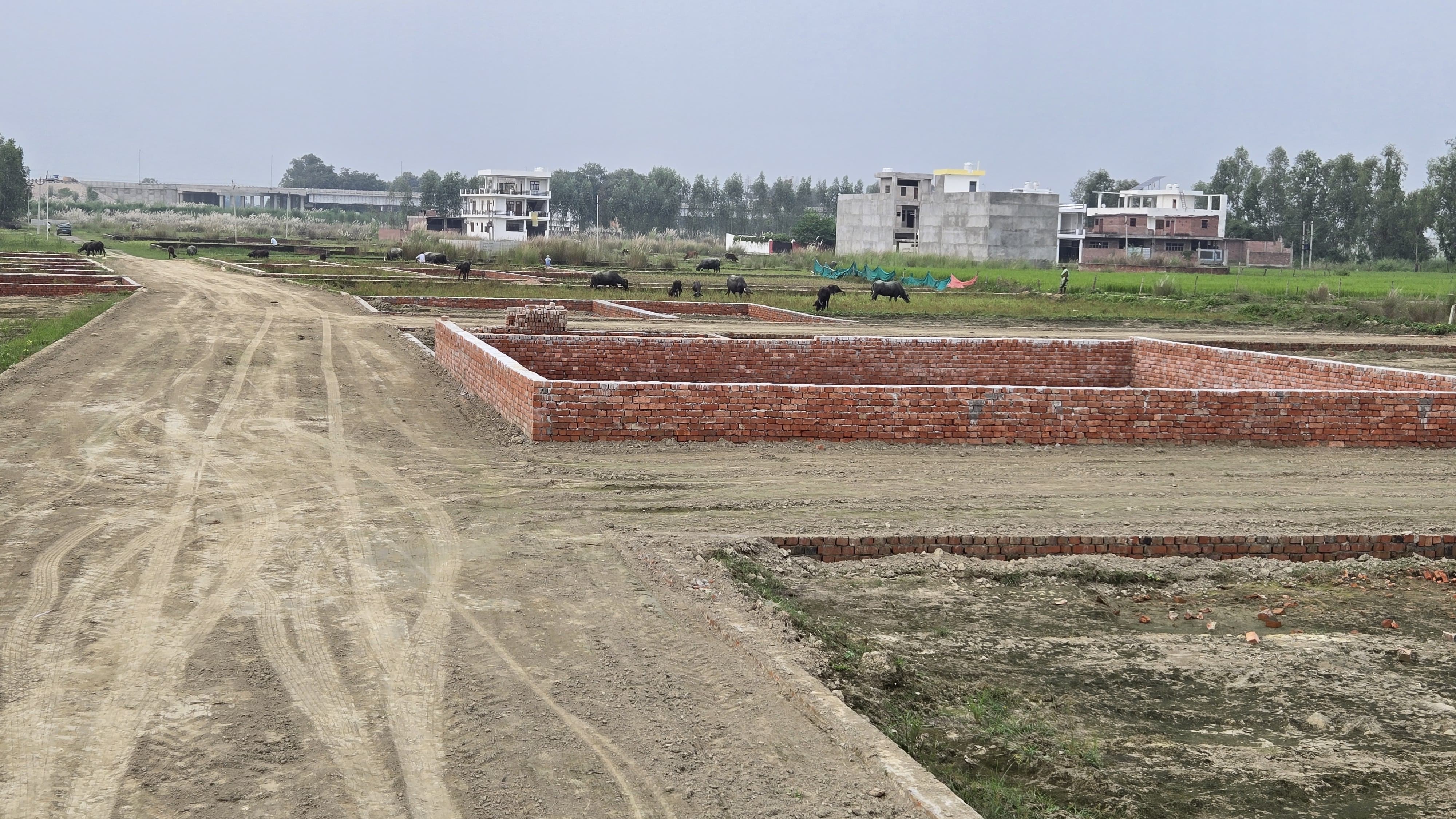 Exclusive Plots for Sale Near Sultanpur Road, Lucknow – Prime Location!