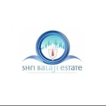 ShreeBalajiEstate Consultant