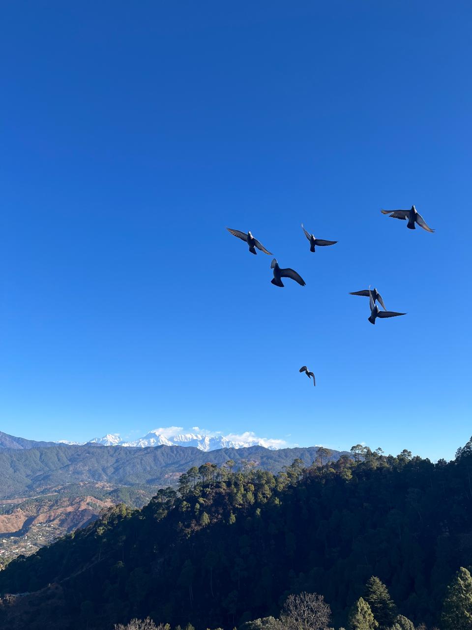 Himalayan Mountain Villa for Sale