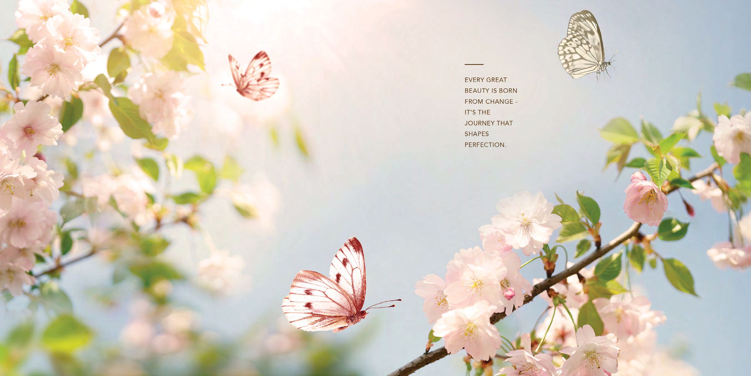 Gaur Chrysalis Sector 22D - 3/4 BHK Luxury Apartments