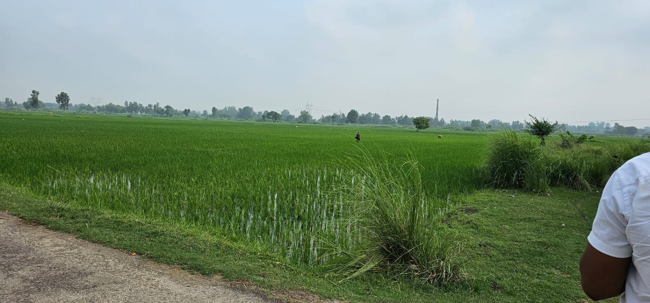 Property in India Buy/Sale/Rent Properties PropertyKumbh